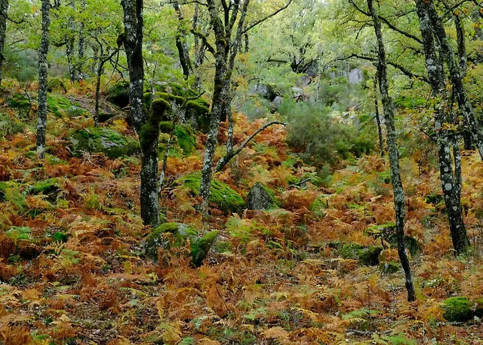 Feriehus Do Laboreiro - Casa 8 *
